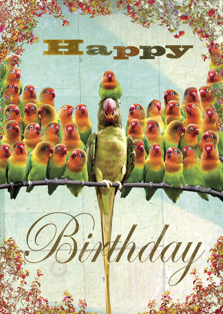 DH06 - Happy Birthday - Bird Mania Greeting Card by Max Hernn